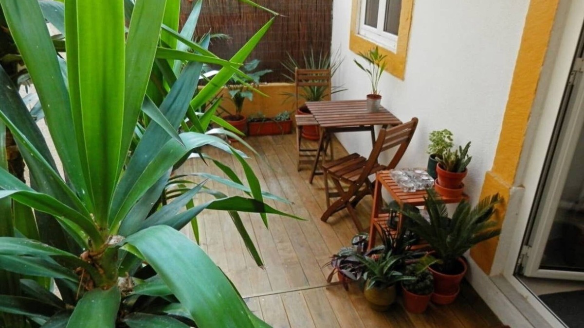 Santa Isabel Apartment | Vintage Terrace. Patio