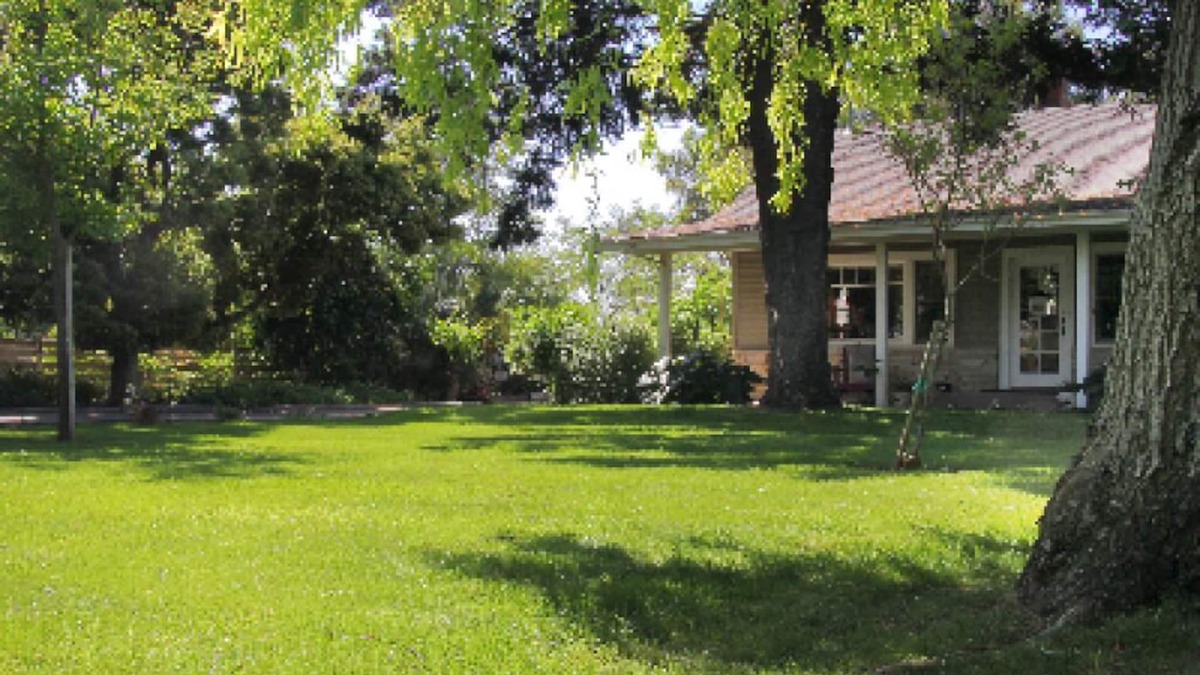 Lodi Cottage | Vintner's Cottage - Countryside VIew