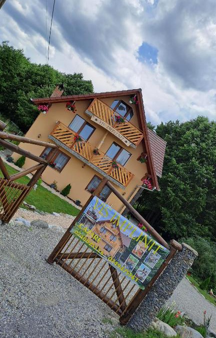 Cartisoara House | Vis Împlinit