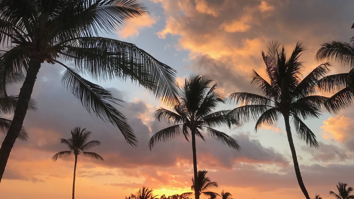 Waikoloa Condo | VISTA A201 LUXURY CONDO - OCEAN VIEW - 2 bdrm 2 bath EZ 5 min walk to beach