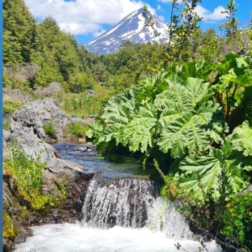 Curacautin House | Vista al volcán con tinaja y río en Conguillío