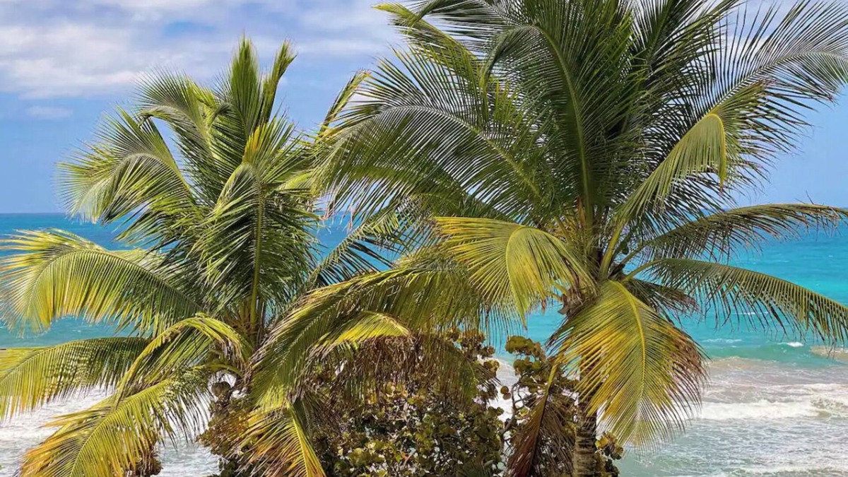 La Pared Condo | Vista Bonita Sandyhills modern 3bedroom,2bath s beach front condo