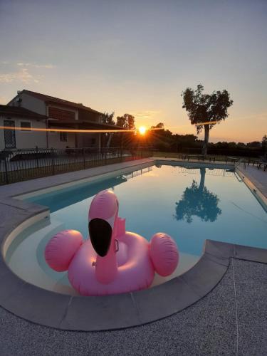 Massarosa Bed & Breakfast | VISTALAGO VERSILIA