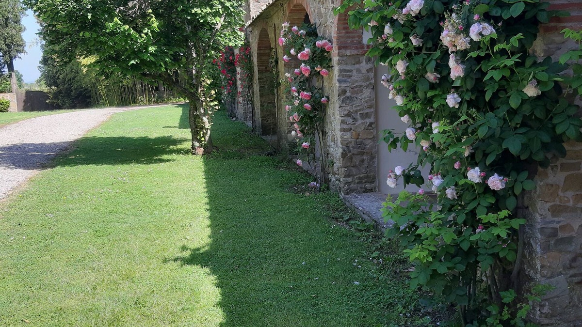 Le Piazze House | Vitiano: Tenuta di Vitiano