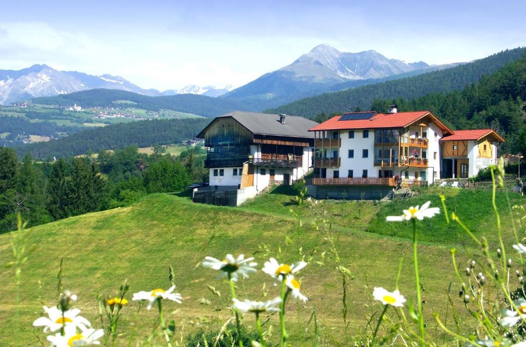Chifa House | Vitroler Hof
