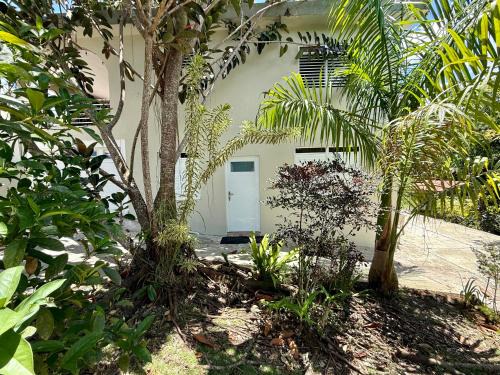 Cidra Apartment | Vive el encanto del campo