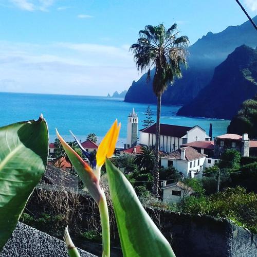 Porto da Cruz Apartment | Vivenda Linda Vista