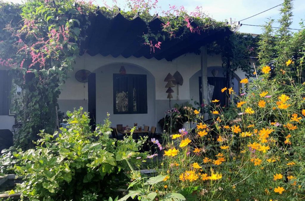 Dien Ban House | Vom Vom Garden House