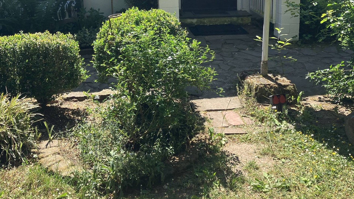 Berkoth Apartment | Vrbo Property