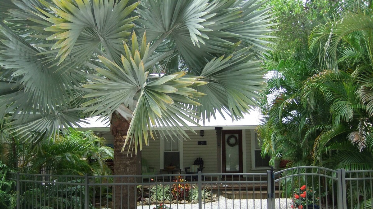 Ozona Cottage | Vrbo Property