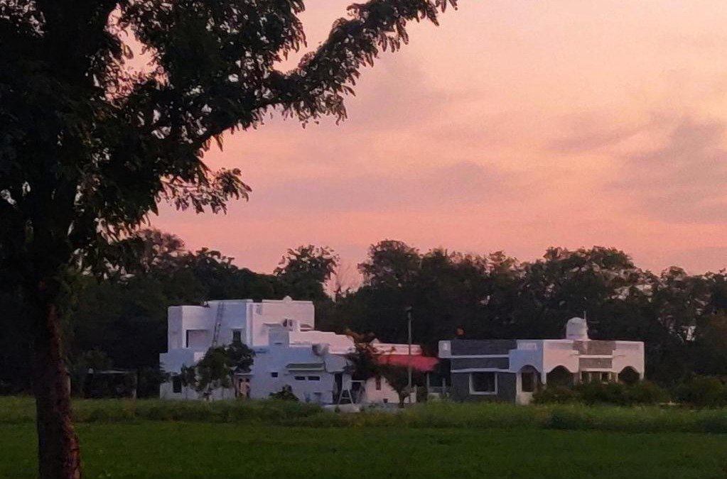 Bali House | Vriksh Jawai The farm stay