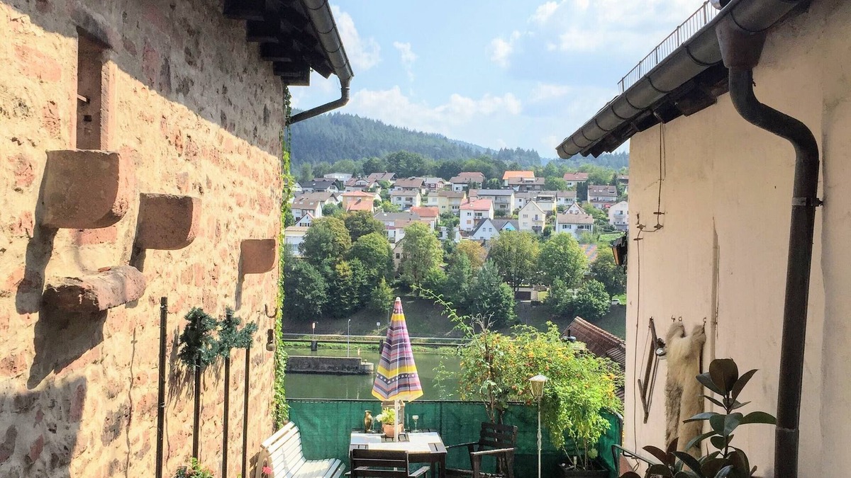 Hirschhorn House | W4.Neckar view, nature, old town