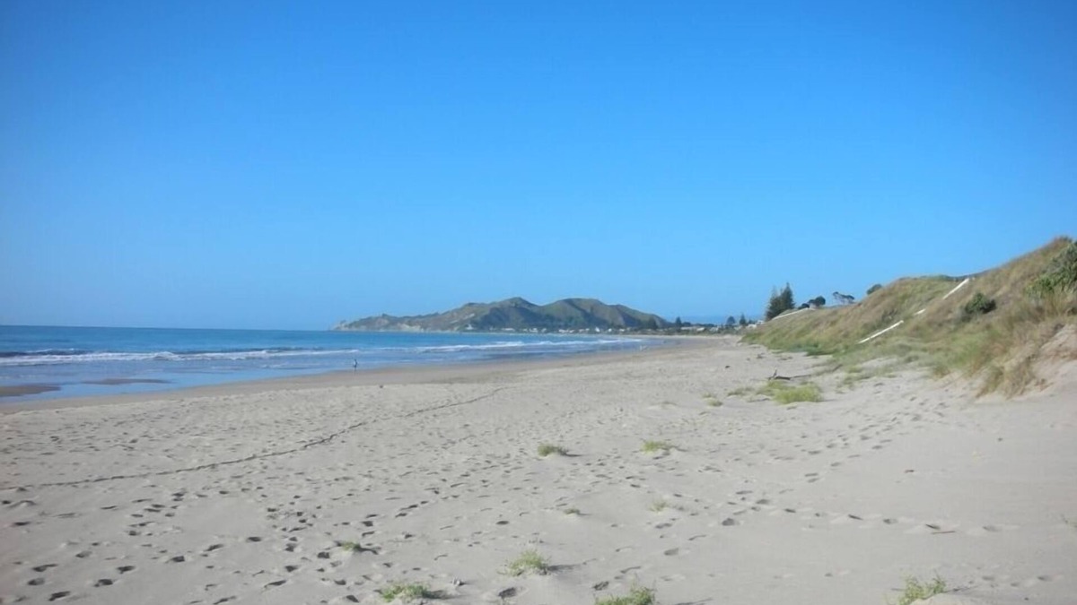 Okitu House | WAINUI ESCAPE.