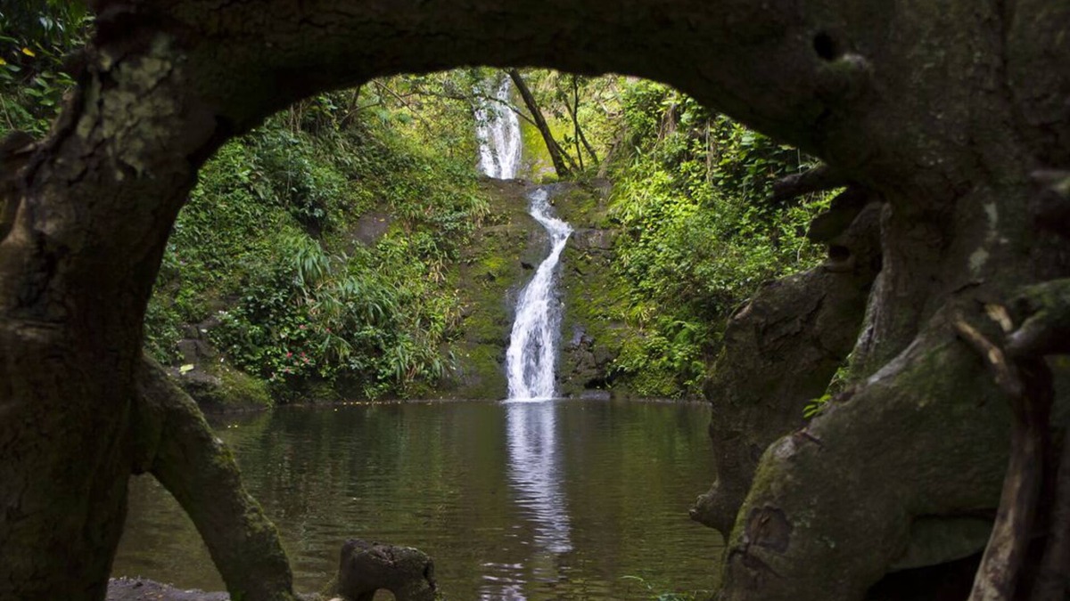 Honokaa House | Waipio Botanical Gardens in the heart of Waipio with waterfall & beach access!