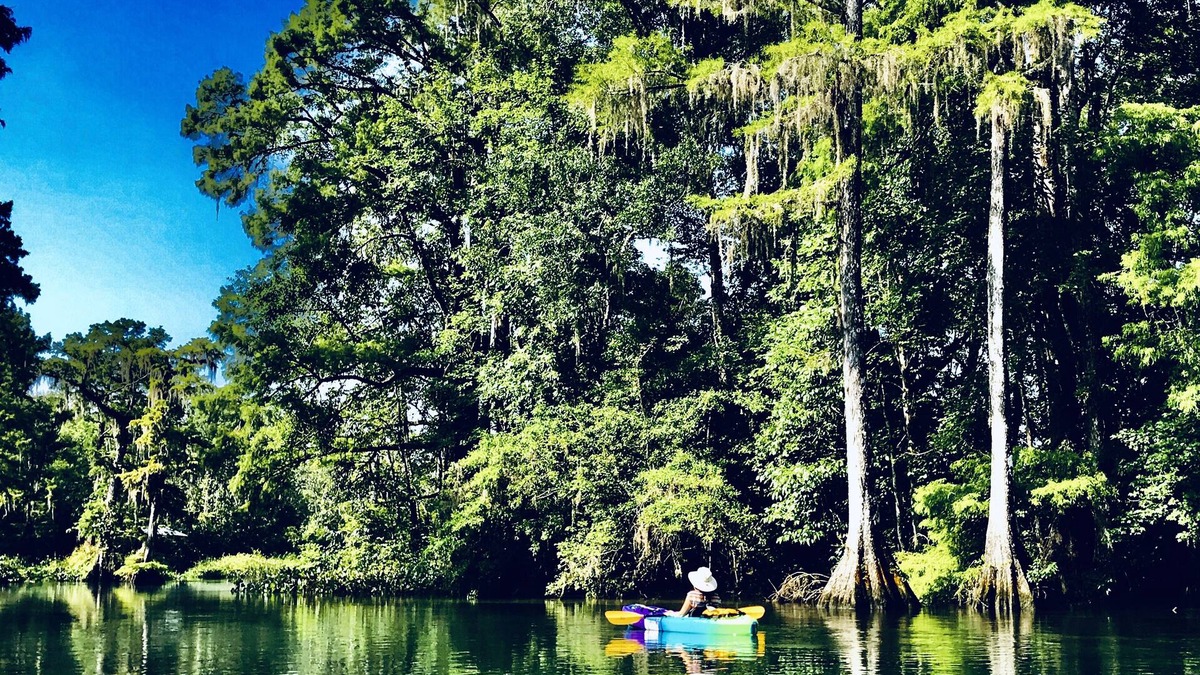 Crawfordville House | Wakulla River Retreat- Manatee Cottage