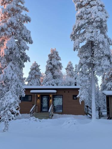 Ylitornio Villa | WALD Villas - Aavasaksa, Lapland