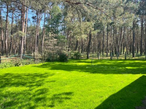 Briesensee House | Waldhaus am See