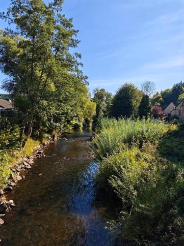Schleiden Apartment | Waldoase im Nationalpark Eifel für 7 Gäste und max 2 Hunde in 1A Lage