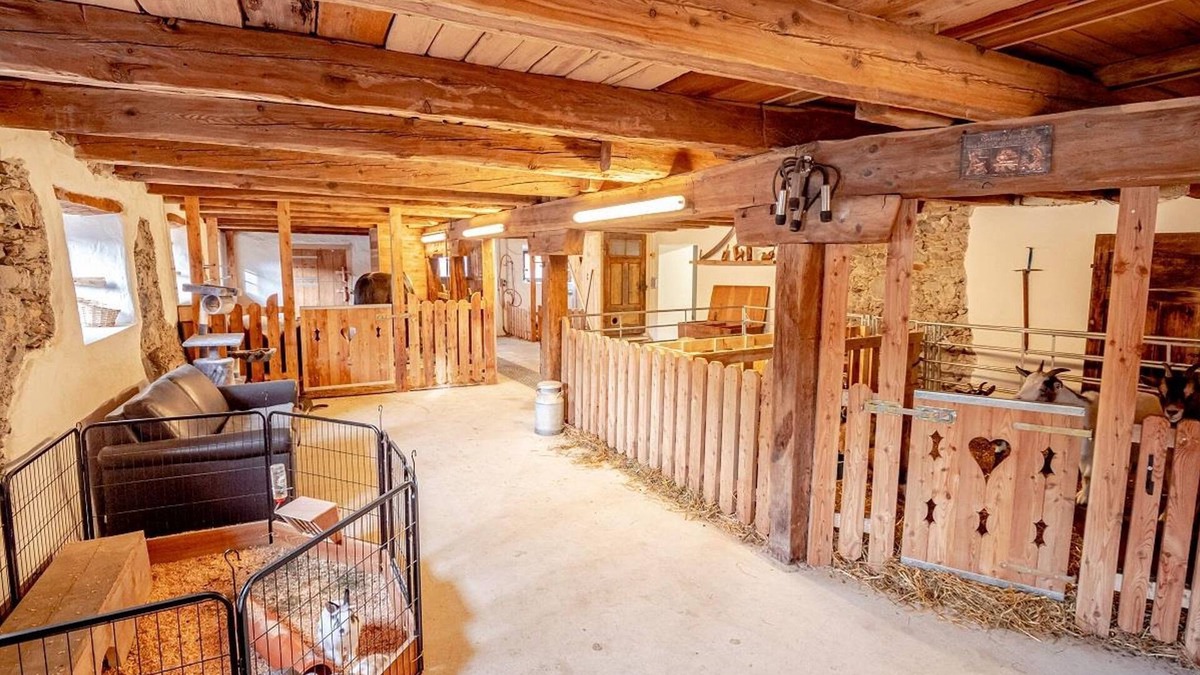 Schildlehen Apartment | Waldrebe /fewo, 2 Schlafräume, 2 Badezimmer - Zeiserhof