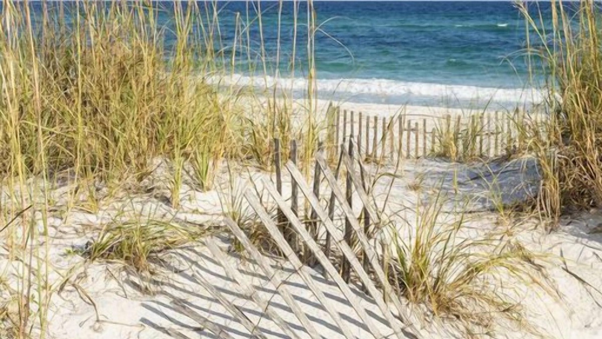 Biloxi House | Walk to the Beach and Downtown Restaurants, Bars, and Shops!