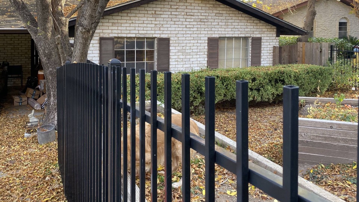 Zilker Apartment | Walk to Zilker Park, Barton Springs, restaurants. Active ride share area.