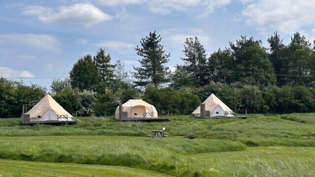 Brackley Cabin | Walltree House Glamping - Cozy Glamping experience