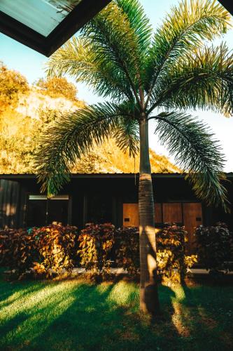Las Escobas del Venado Hotel | Wao Jungle Venao