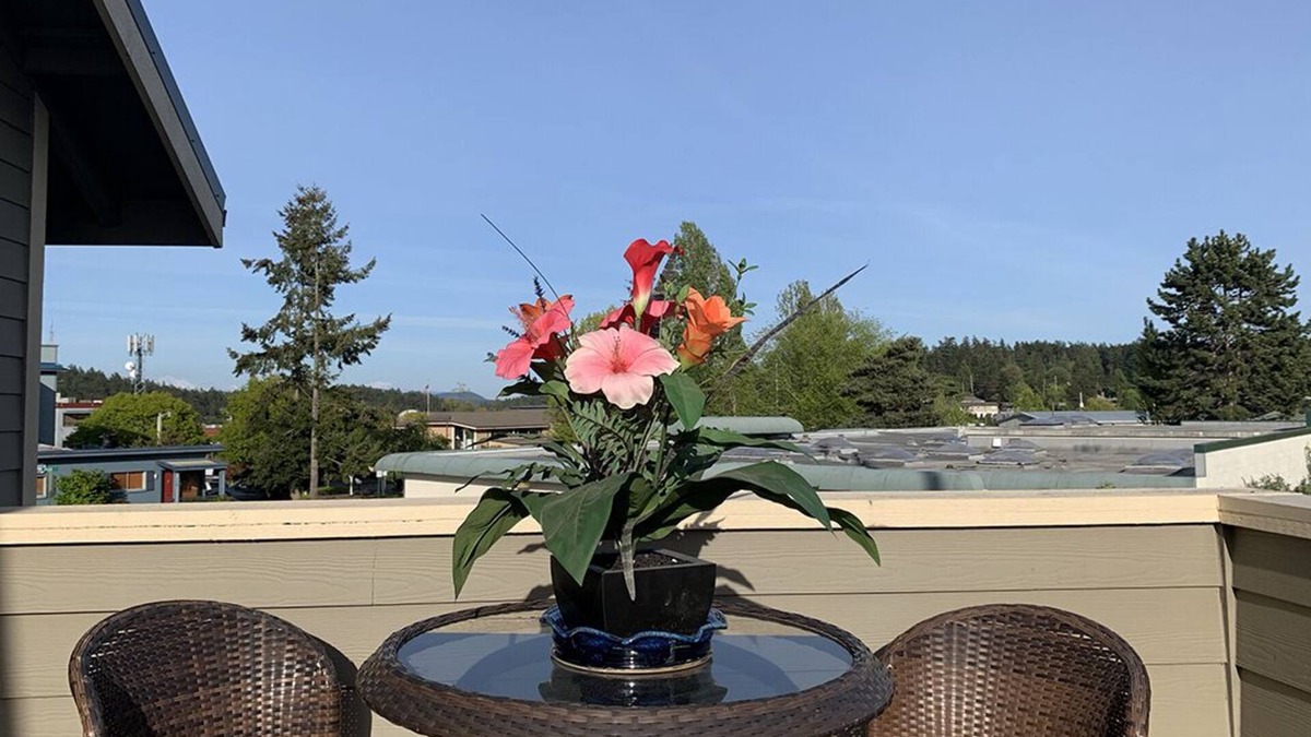 Friday Harbor Condo | Warm and Bright in the Heart of Downtown Friday Harbor