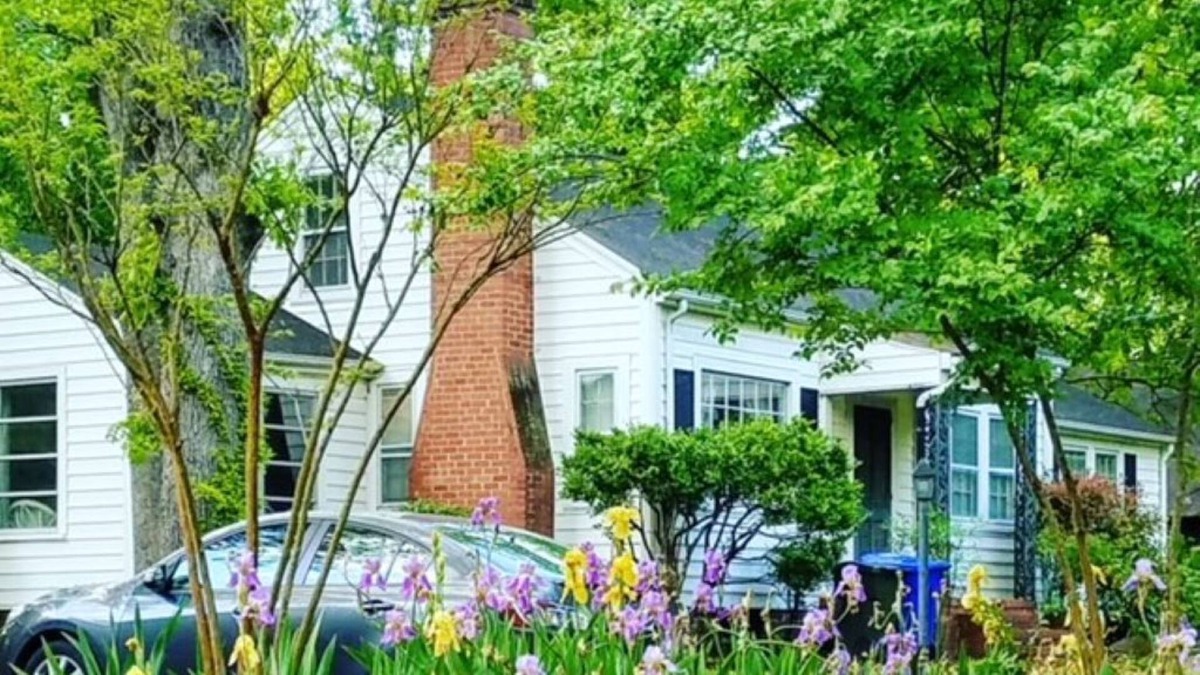 Chapel Hill House | Warm, inviting house and neighborhood, plus dogs love our fenced-in back yard.