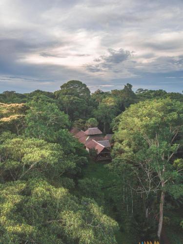 Tambopata Cabin | Wasai Tambopata Lodge