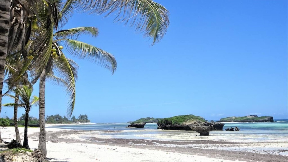 Watamu Bed & Breakfast | Watamu, nestled between pristine beaches and lush tropical forest