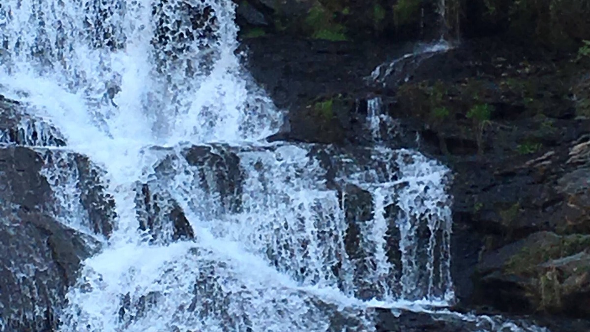 Dahlonega Cottage | Waterfall Cottage within sight & sound of Cane Creek Falls, 2BR 2BA