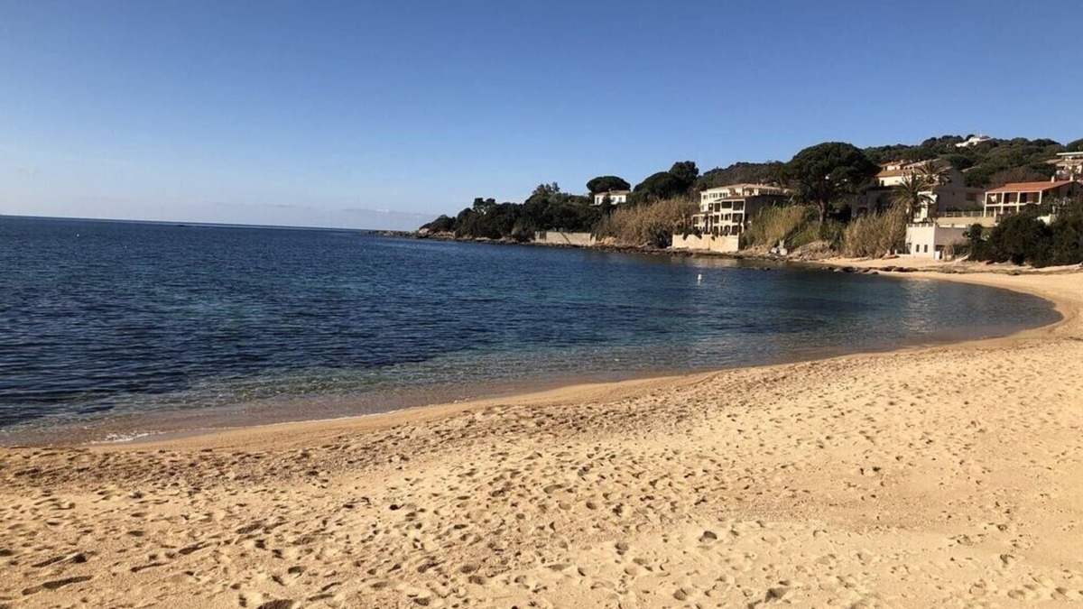 Tiuccia Apartment | WATERFRONT APARTMENT IN SOUTH CORSICA (1 MINUTE WALK FROM THE BEACH)