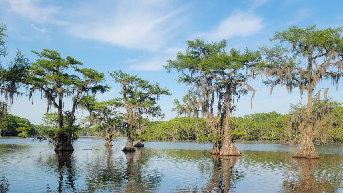 Uncertain House | Waterfront, close to Caddo State Park, walk to Shady Glade, vast deck, remodeled