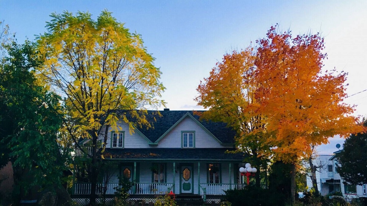 Montebello House | Waterfront cottage in Montebello (Accommodation up to 22 people) - 294653