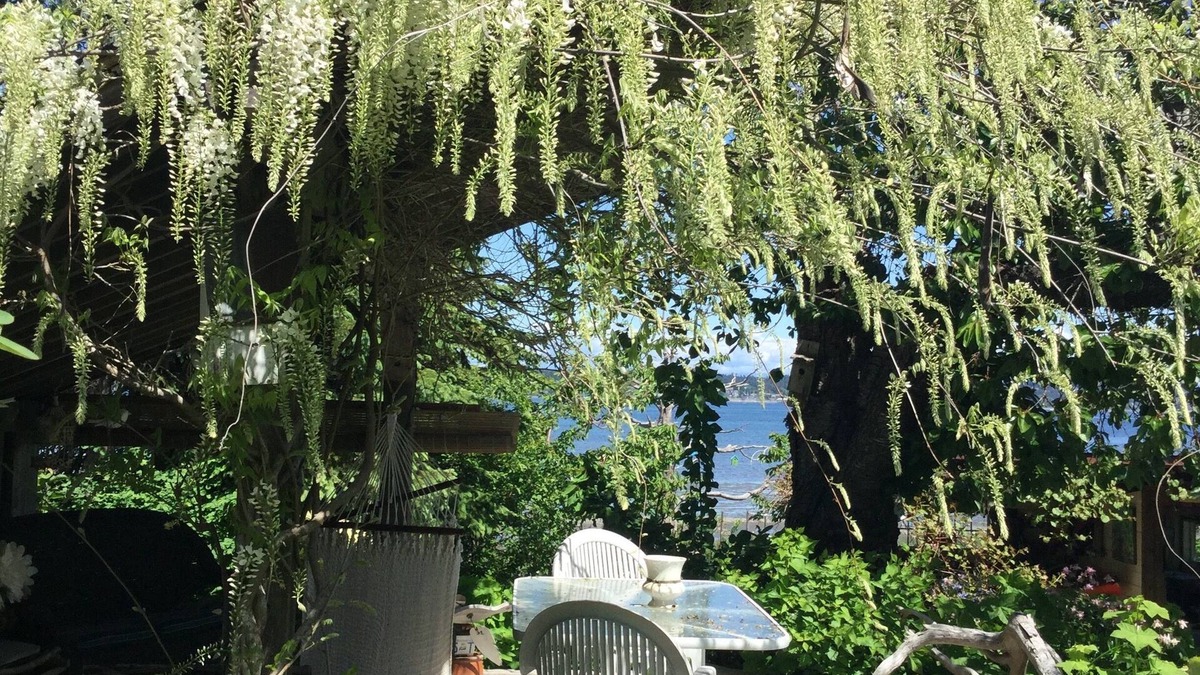 Courtenay House | Waterfront Getaway while visiting family, near Bike Trails, and Nature Walks.