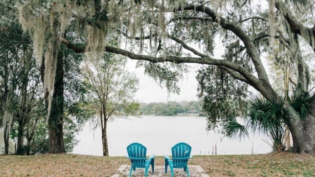 Bearss Plaza House | Waterfront Nature Retreat:15 mins to downtownTampa