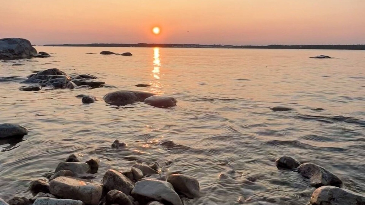 De Tour Village House | Waterfront Open Concept Cottage! Sleeps 10. Paddle boards included!