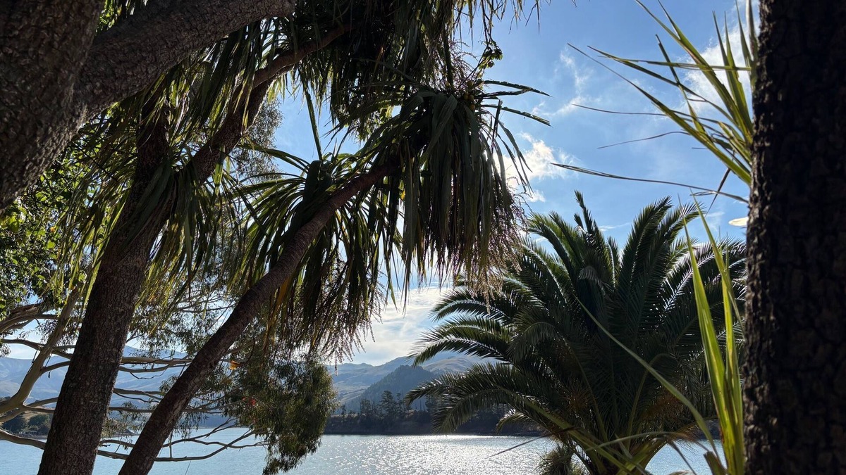 Port Levy House | Waterfront property perfect for those weekend Get-Aways to reconnect!