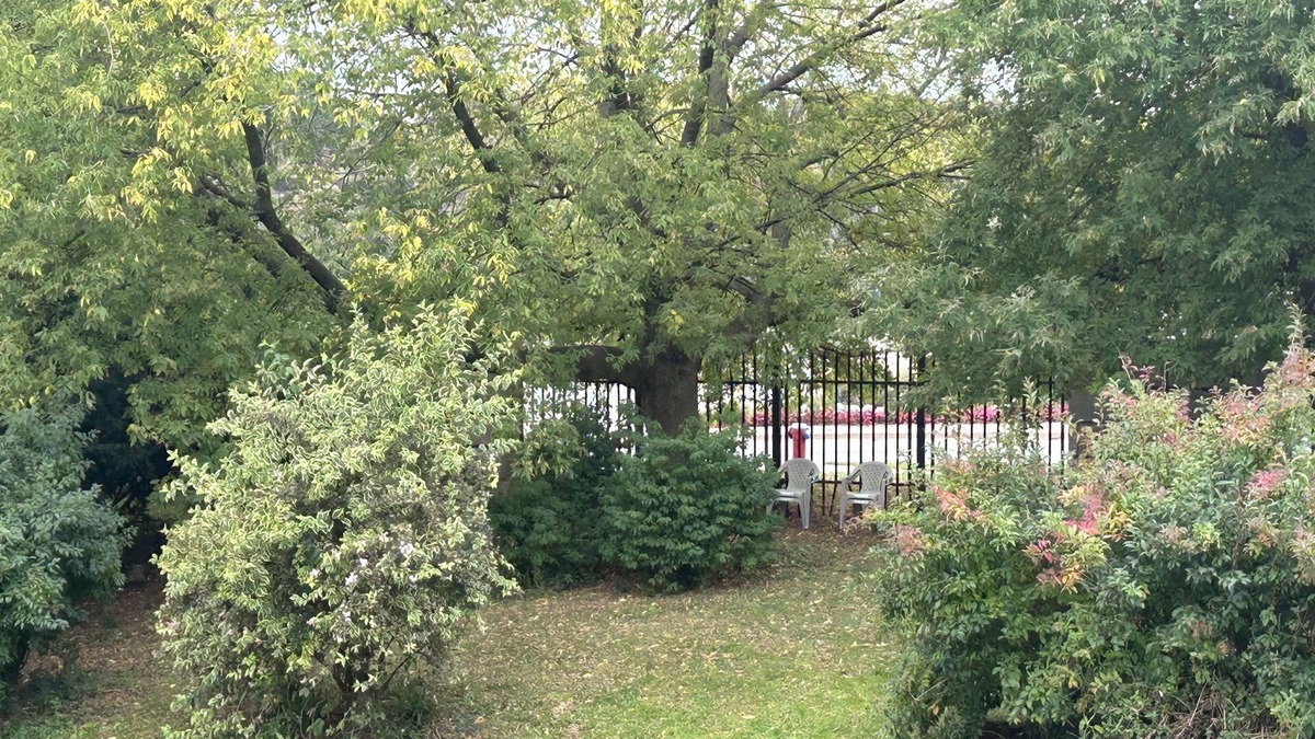 Downtown Niagara Falls Bed & Breakfast | Waterfront sightseeing