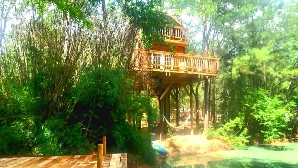 Waller House | Waterfront Treehouse In A Magical Forest!