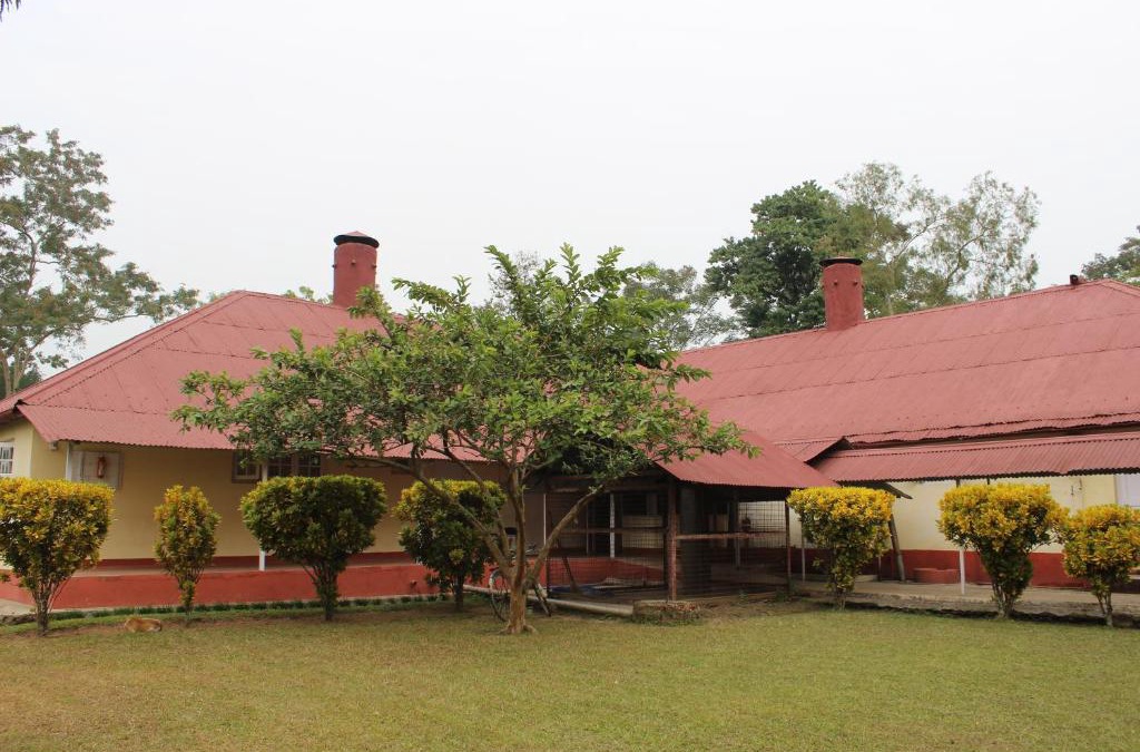 Tinsukia District Hotel | Wathai Heritage Bungalow