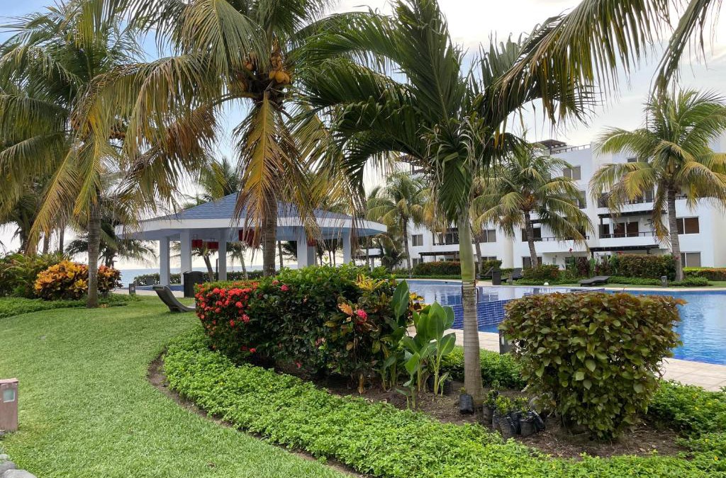 Santa Rosa Apartment | Wave nSea Monterrico
