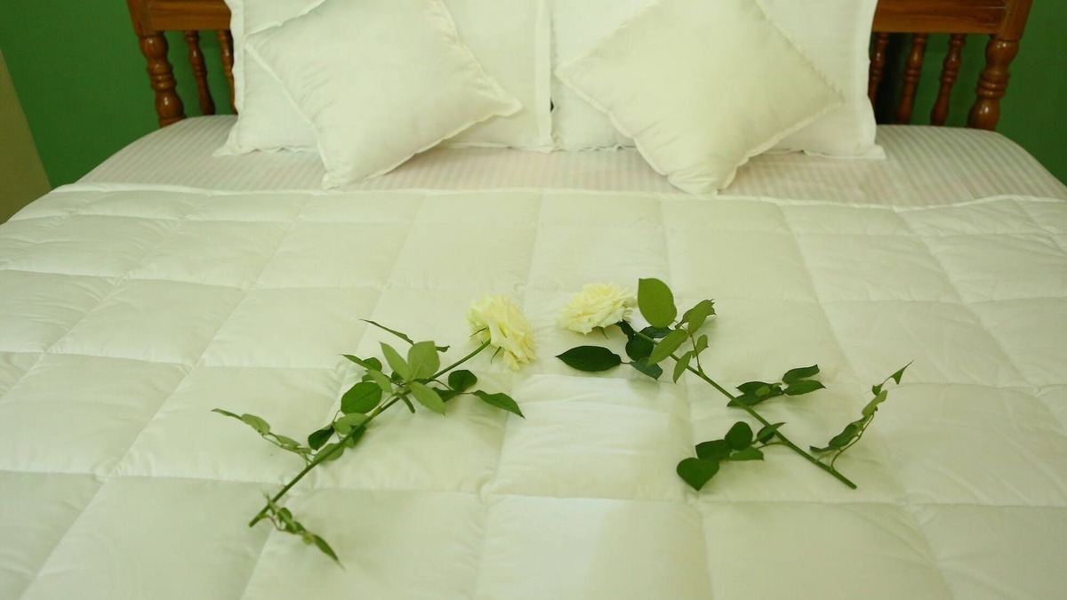 Kolagappara Bed & Breakfast | Wayanad Stay- A plantation homes stay