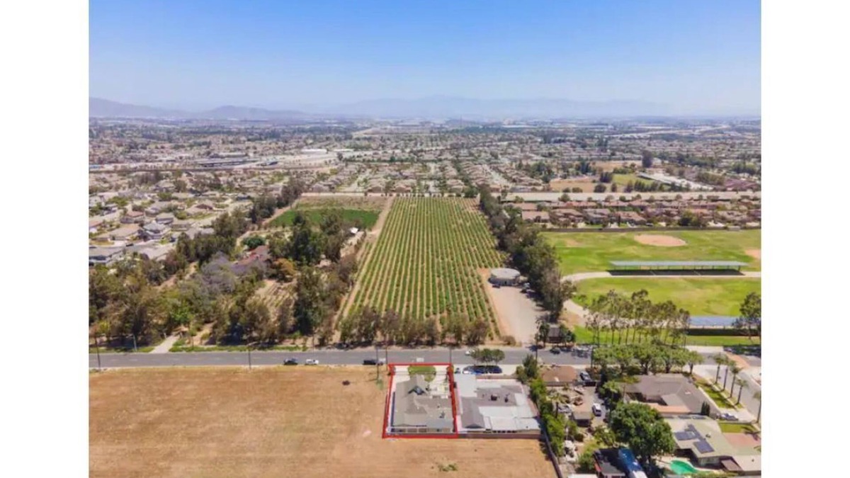 Rancho Cucamonga House | Wayside Vineyard