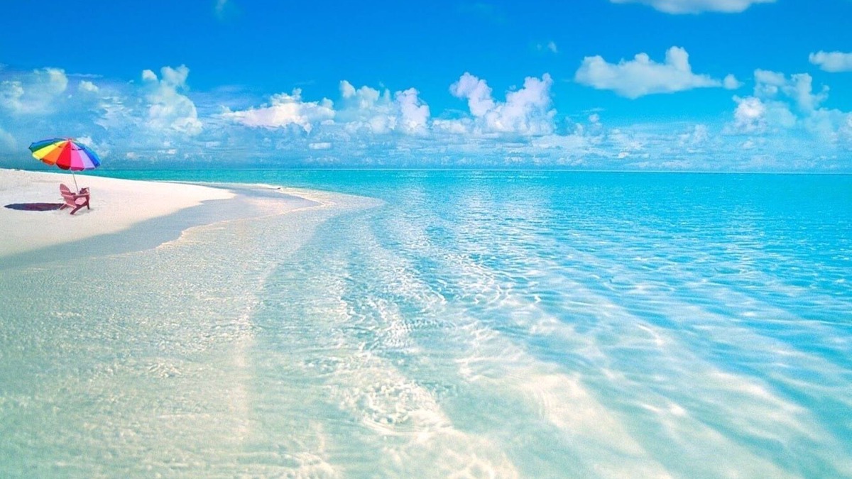 Sarasota Condo | WE ARE OPEN FOR BUSINESS , walk to the beach and st Armand circle