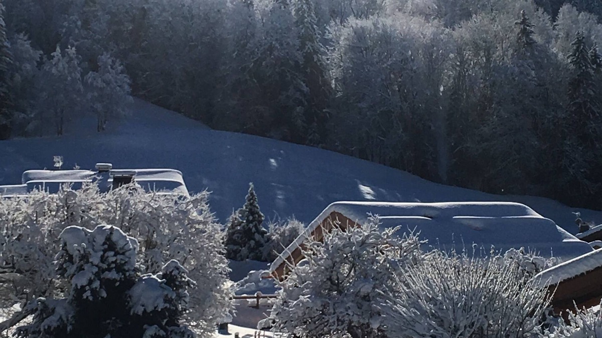 Megeve Apartment | We love it! Megevan cocoon, panoramic mountain view, close to the slopes.