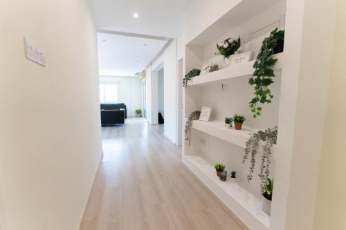 Lykabittos Apartment | WealthyStays - Olympias 2BR Flat Nicosia Centre