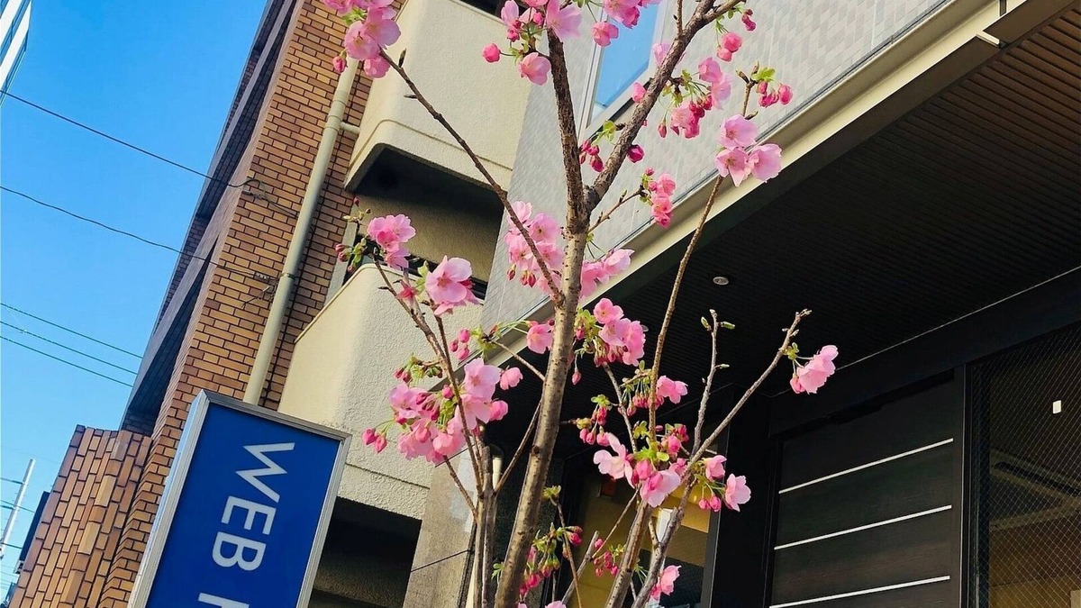 Yanagibashi Hotel | Web Hotel Tokyo Asakusabashi