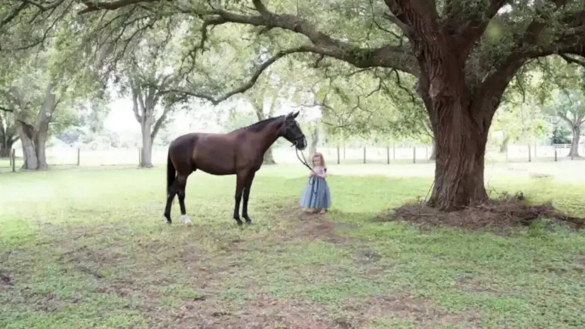 Buckingham Other | ⭐️Wedding&Event⭐️Content House⭐️ Family&Couple Retreat⭐️Horse Lover’s Dream⭐️